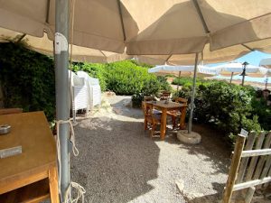 Open Area With Dining Table