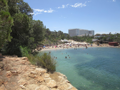 Discovering Cala Gració Ibiza: A Serene Coastal Gem