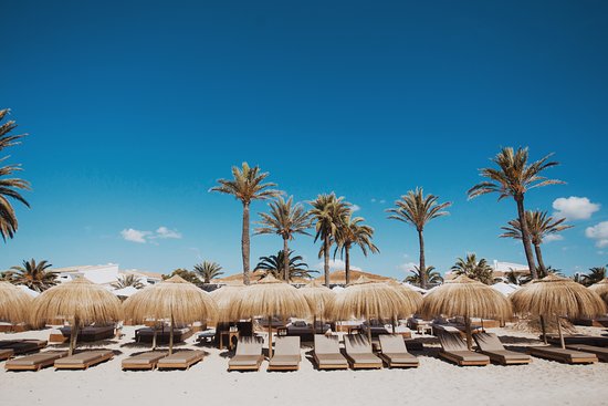 Your Ultimate Guide to Beachouse Ibiza: Food, Fun, and Serenity