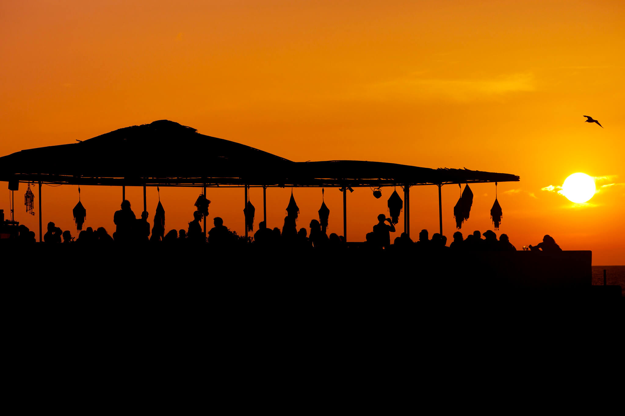 Sunset-Ashram-sunset