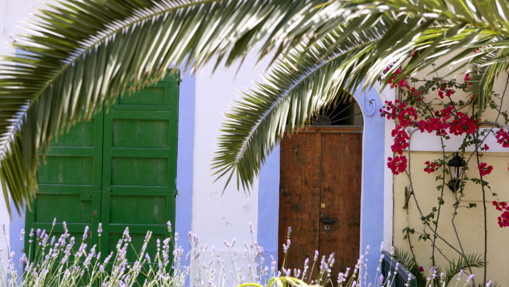 New Law to Legalize Properties on Rural Land on Ibiza in 2024