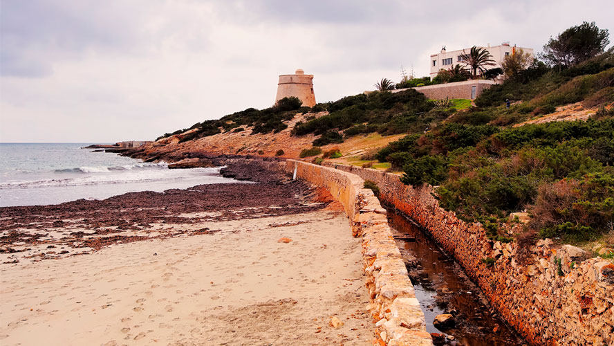 San José Real Estate